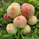 나눔농원 이미지