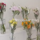 주정차046 이미지