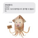 25년 1월 월말정산