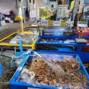 이례수산 이미지