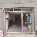 그린스타약국 이미지