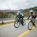 동양바이크 이미지