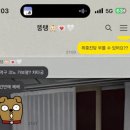 이모저모