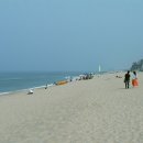 규환목장 이미지