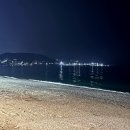 경주 감포 횟집 부부수산 수산시장 회포장 후기