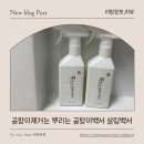 백서로 | 곰팡이제거 스트레스 끝욕실 벽지·줄눈까지 살림백서로 해결한 리얼 후기