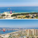 더 베이 굿모닝경제