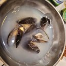 등대포토존 | 여수 여행2탄/ 여수낭만포차88번 돌문어삼합 내돈내산 후기 , 야경명소 하멜등대 포토존