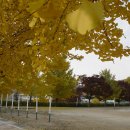 부남초등학교 이미지