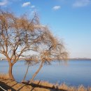 삽교호 호수공원 야구장 이미지