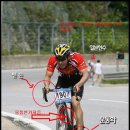 국내 자전거 대회 레전드 이미지