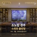 경주 소노캄 조식·스위트 클린형 경주 가족 호텔 추천