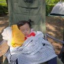 잉어물놀이 이미지