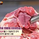 오리랜드 이미지