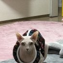 태성탕 이미지