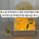 오브제 | 노원 부케 말리기 공방 모먼트페이지💐아치무드등 부케오브제 내돈내산 후기‼️