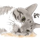 두 Y자(주말) 네이버블로그