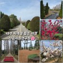 햇살자원 | [나주 가볼만한곳] 사계절 산책하기 좋은 산림자원연구원 🌿 실시간 매화 개화 현황 광주 근교 주말...