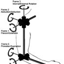 주관절(Elbow Joint) & 견관절(Shoulder Joint) 움직임 이해를 돕는 사진 이미지