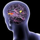 gc-camera-037 이미지