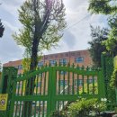 청운초교 정문 앞 이미지