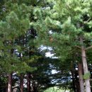 인촌경로당 이미지