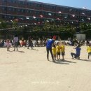 휘봉초교병설유치원 이미지