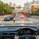 주정차단속-130 | 어린이보호구역 신호위반, '괜찮겠지' 하다가 과태료 폭탄 맞는 이유