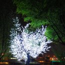 은파관광지 내 이미지