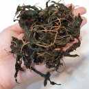 사랑건강상회 이미지