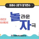 미래수