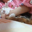 우다다 - 울진군 후포삼율로 123-1 | 우다다