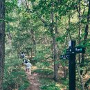 내장산국립공원 내장호야영장 이미지