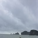 하이퐁