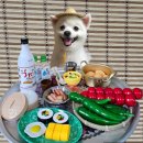 빵순돌이네 하우스 이미지