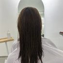 분당 정자역 미용실 SC컬 후기 뚜아헤어