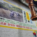 장수고원흑돼지
