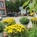 상록지역아동센터 이미지