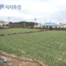 대정읍-2 이미지