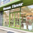 플라워호텔 | 제주도 호텔 프로포즈 가격 피렌체플라워 예약 방법, 후기