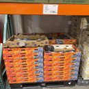 한성할인마트 | 10월 셋째주 코스트코 할인 행사 필수 구매템 실속 쇼핑 리스트