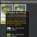 메이플 하이패션 엘프 세트 구매후기, 엘븐 스피릿 세트 착용샷