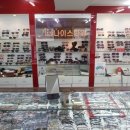 나이스안경콘택트 이미지