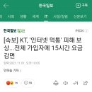 [속보] KT, '인터넷 먹통' 피해 보상...전체 가입자에 15시간 요금 감면 이미지