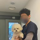 강서동물병원 이미지