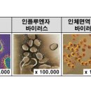 바이러스[virus] 이미지