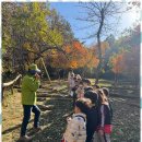 늘푸른몬테소리어린이집 이미지