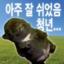 2박3일 여수여행 코스 1탄 , 쩝쩝박사 내돈내산 맛집 소개 , 이화식당후기