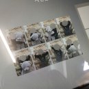 샷업 | [방문] 홍대 샷업 방문후기