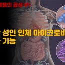 사람과 미생물의 공생 #1,2,3,4 - 건강한 성인 인체 마이크로바이옴의 구조와 기능 이미지